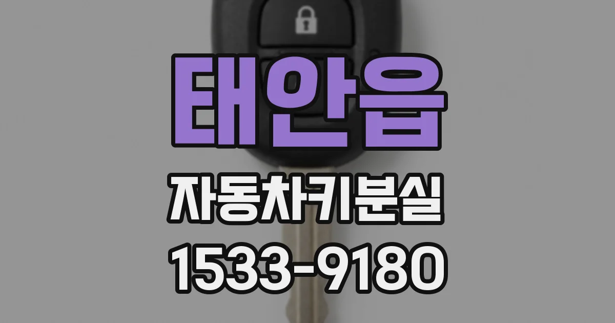 태안읍 자동차키분실