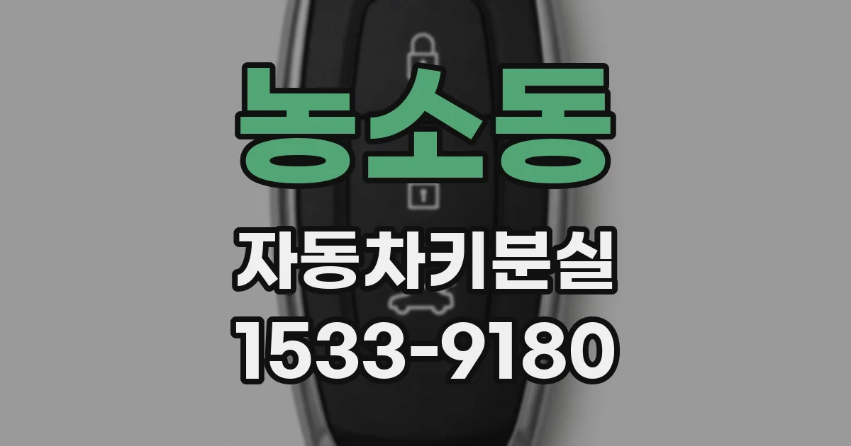 농소동 자동차키분실