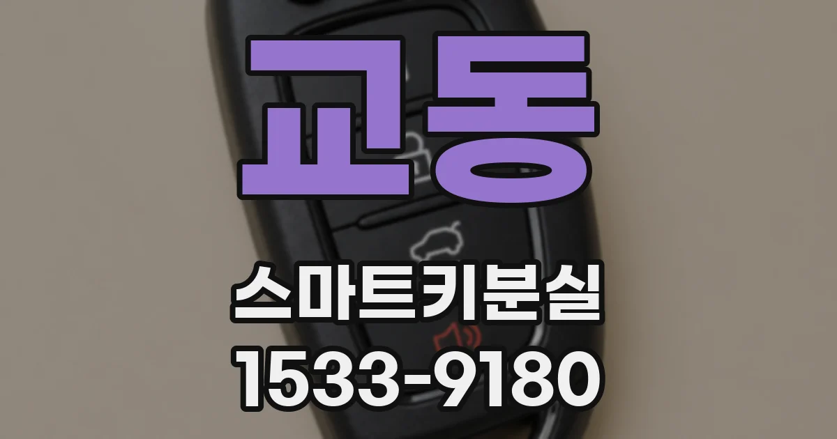 교동 스마트키분실
