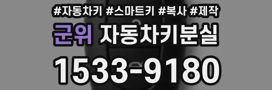 군위 자동차키분실