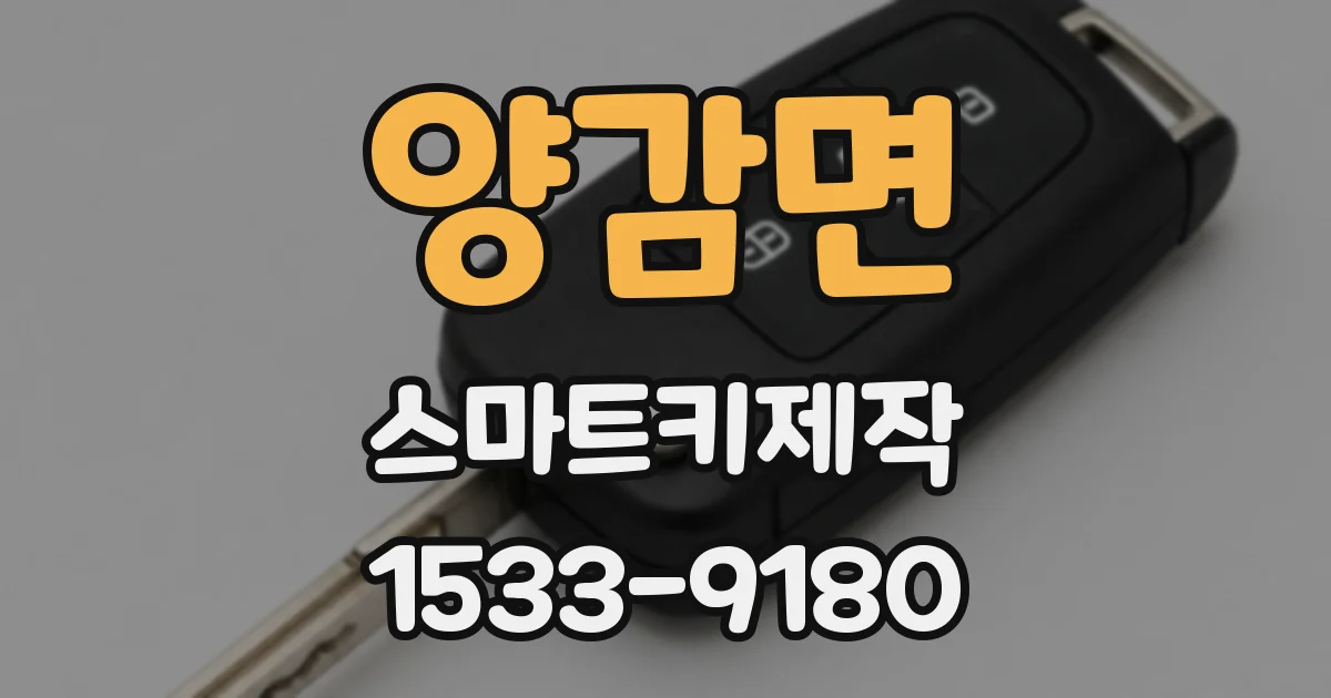 양감면 스마트키제작