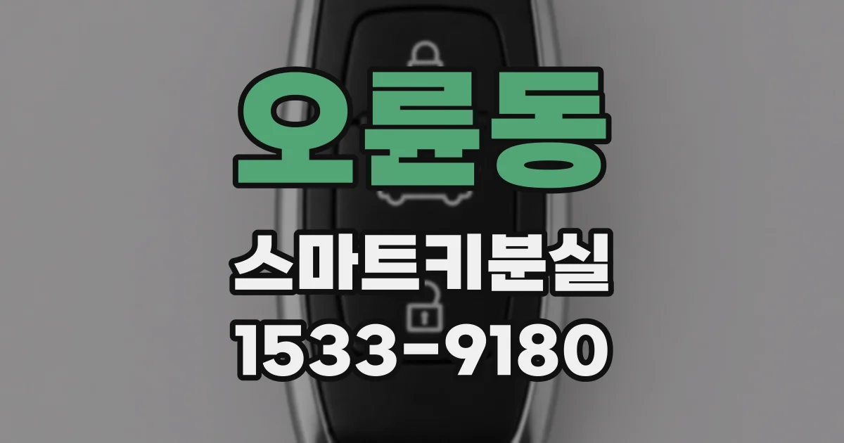 오륜동 스마트키분실