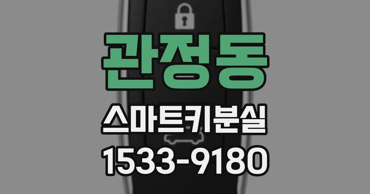관정동 스마트키분실