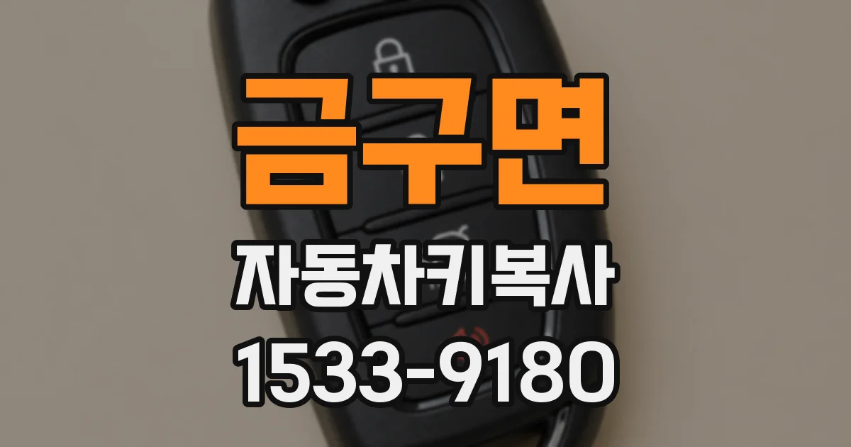 금구면 자동차키복사