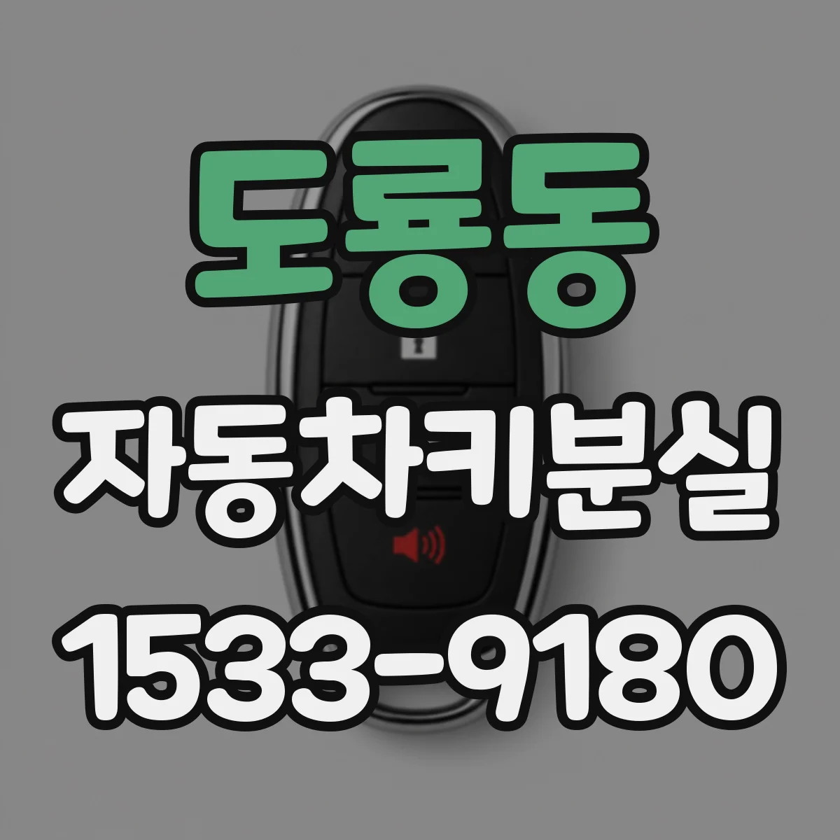 도룡동 자동차키분실