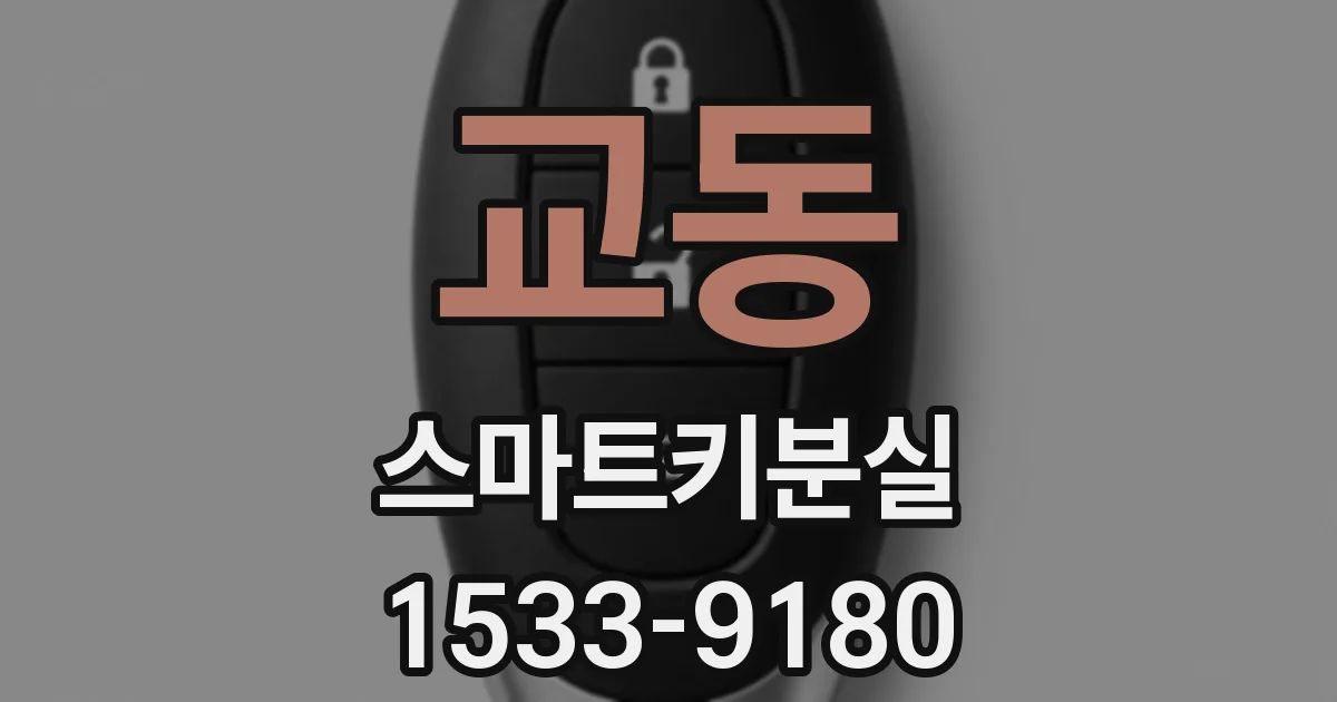 교동 스마트키분실