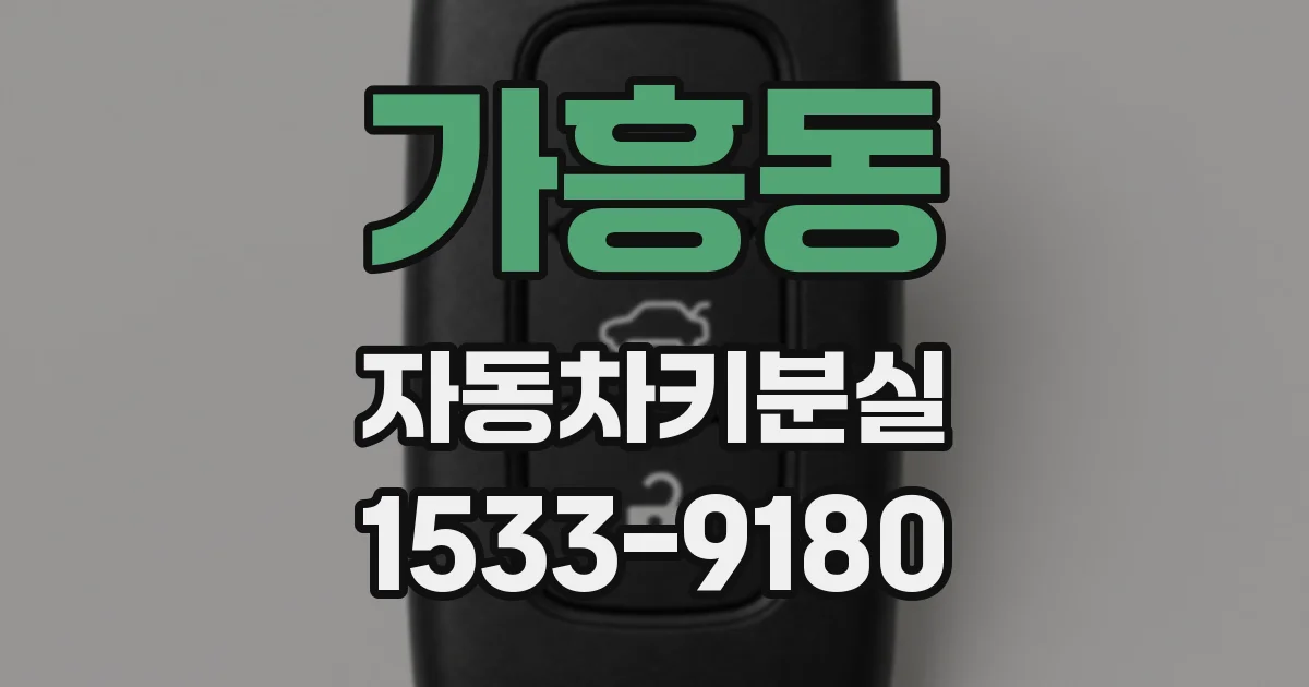 가흥동 자동차키분실