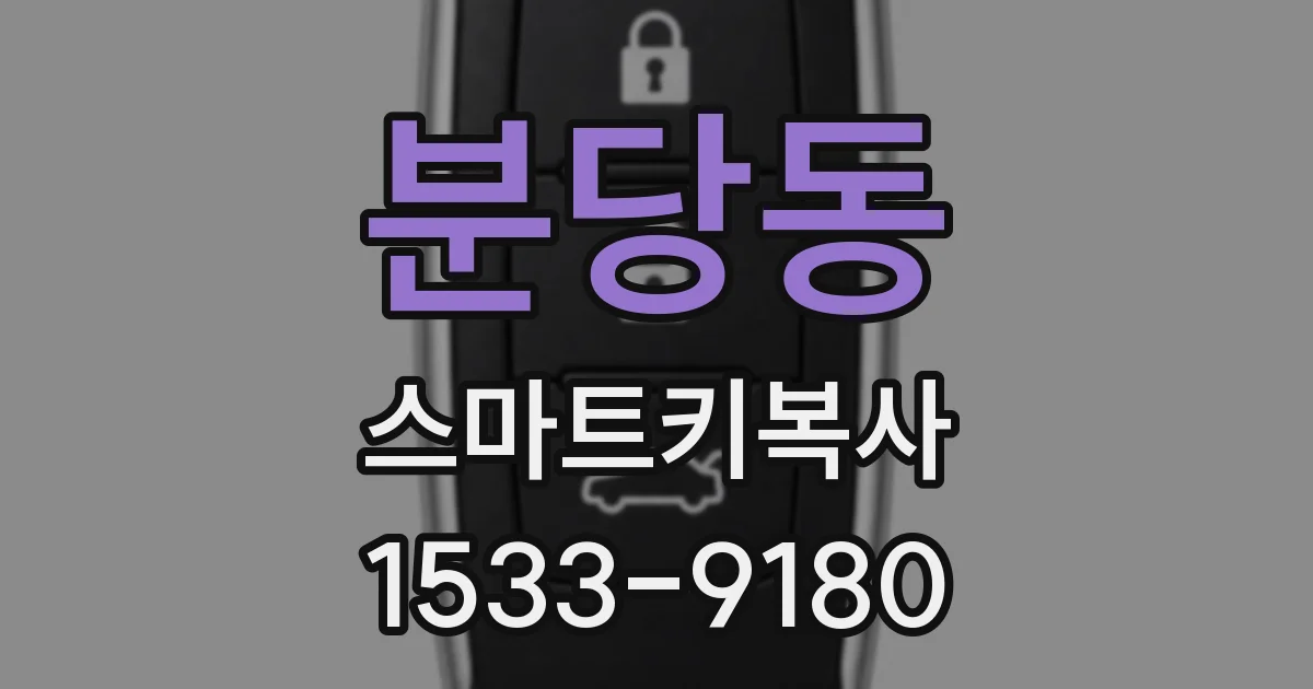 분당동 스마트키복사