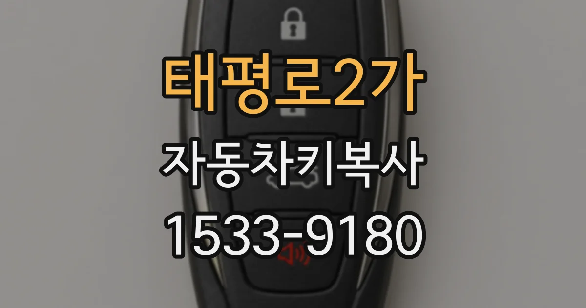 태평로2가 자동차키복사