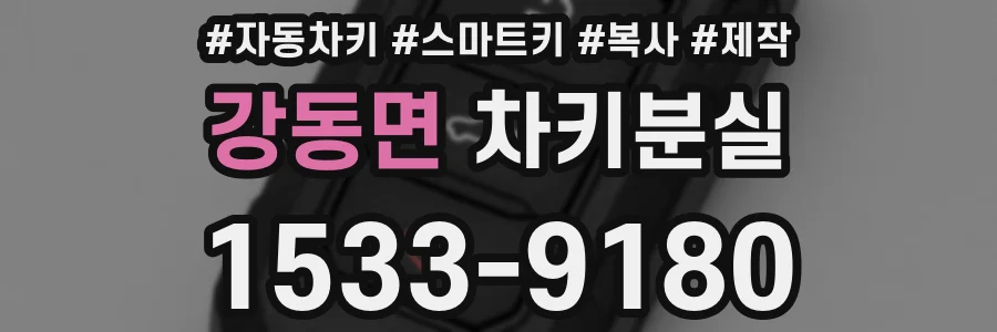 강동면 차키분실