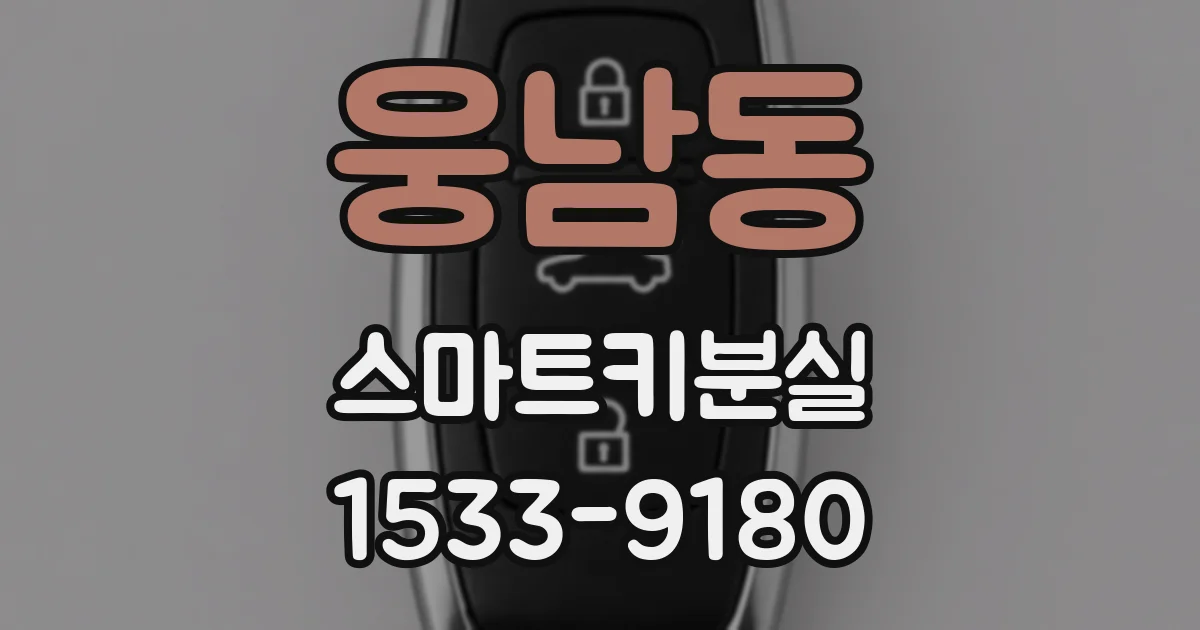 웅남동 스마트키분실