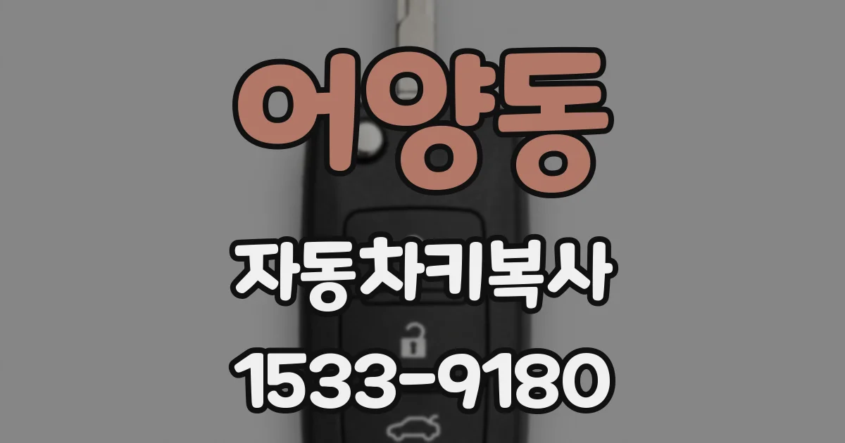 어양동 자동차키복사