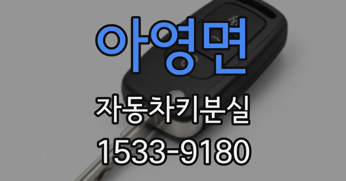 아영면 자동차키분실
