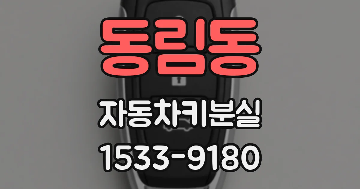 동림동 자동차키분실