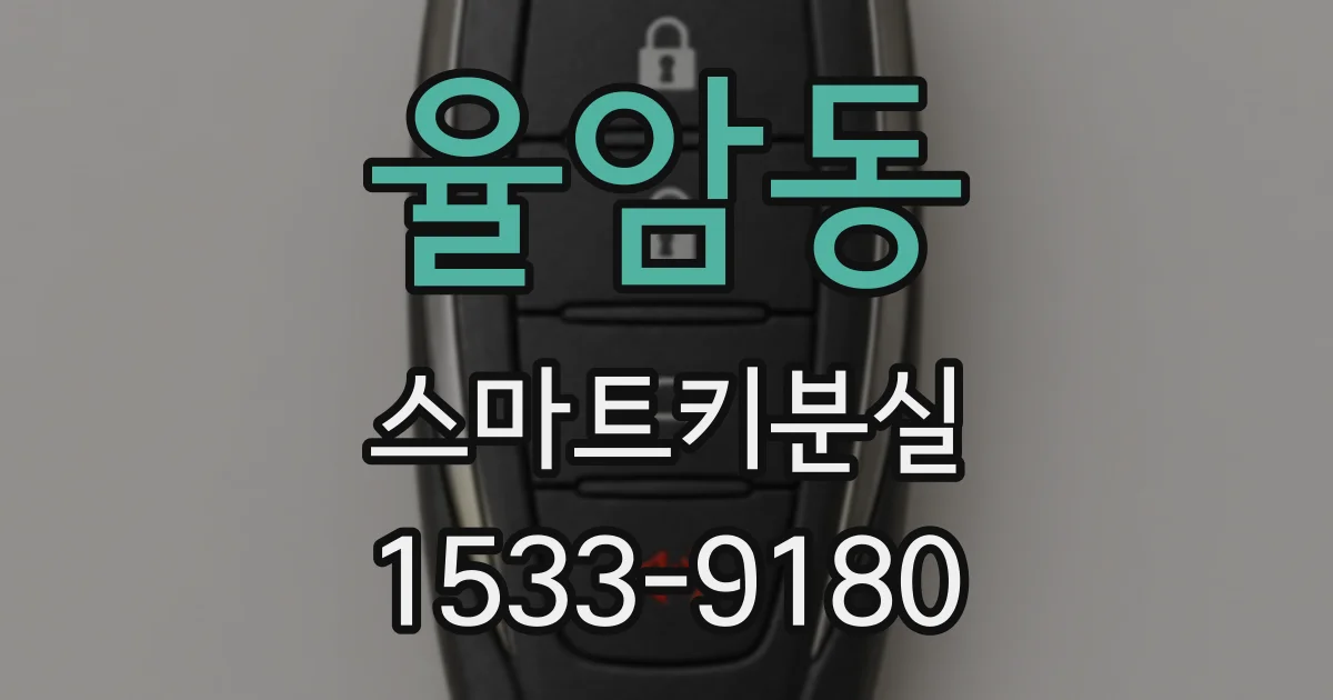 율암동 스마트키분실