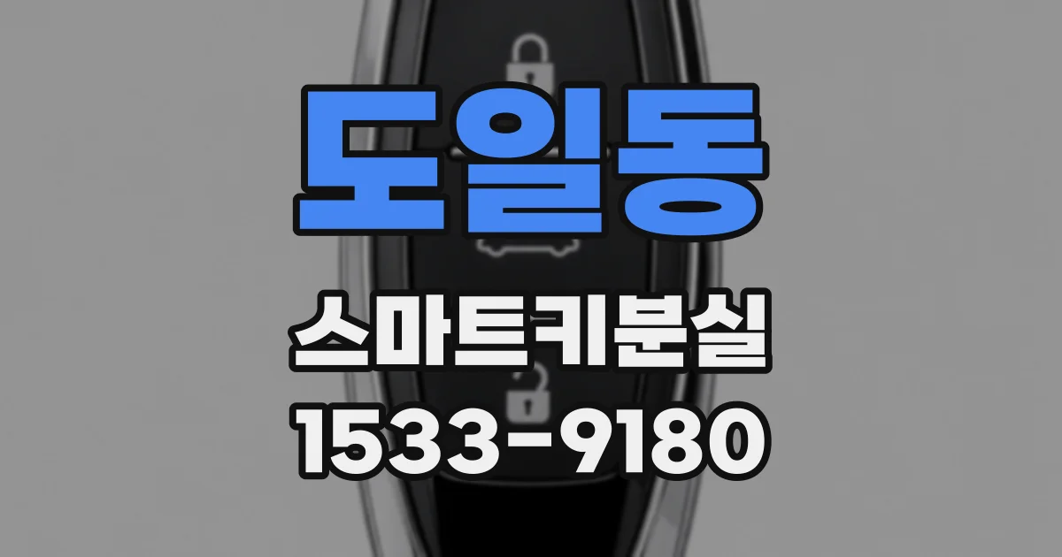 도일동 스마트키분실