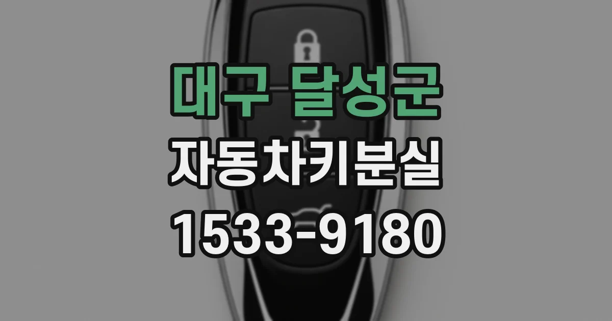 대구 달성군 자동차키분실