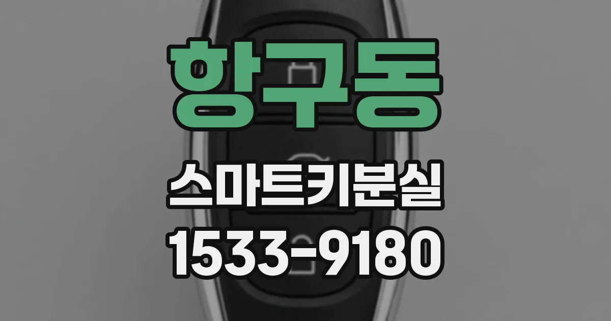 항구동 스마트키분실
