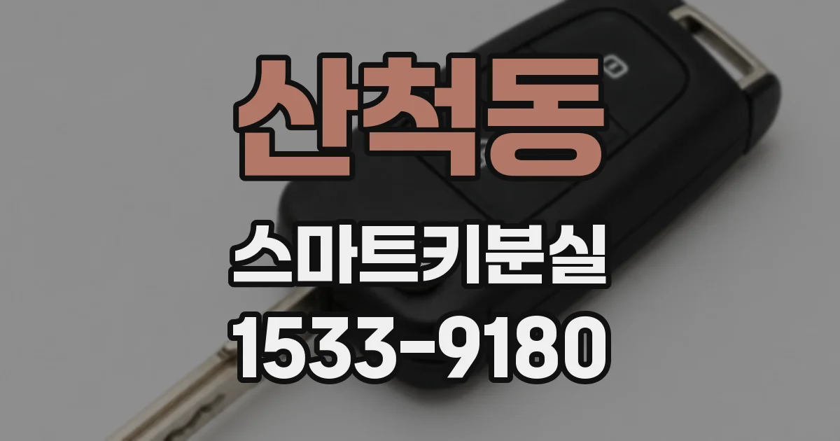 산척동 스마트키분실