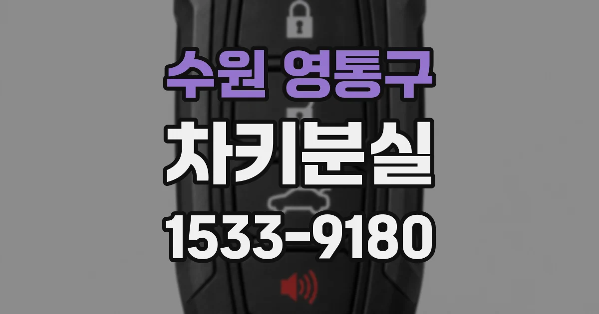 수원 영통구 차키분실