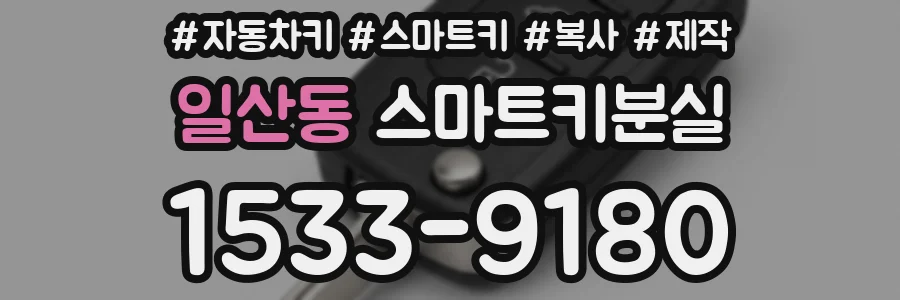 일산동 스마트키분실