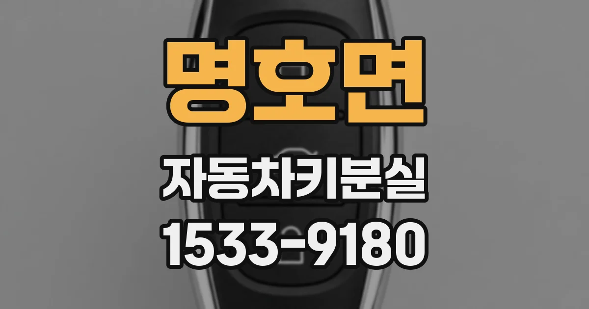 명호면 자동차키분실