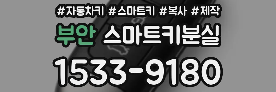 부안 스마트키분실