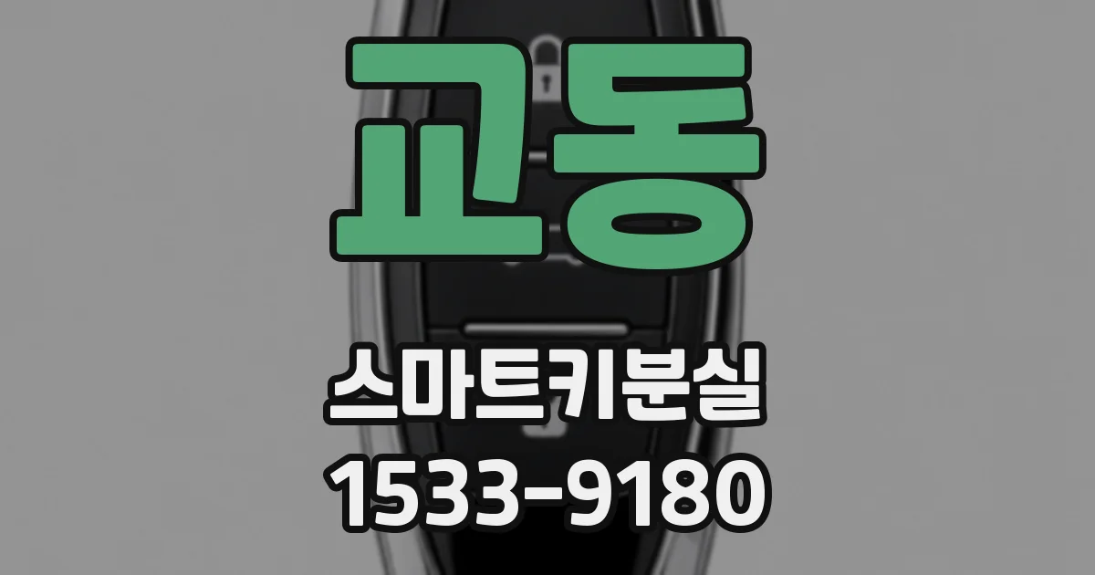 교동 스마트키분실