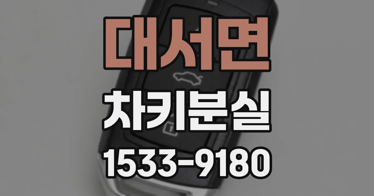 대서면 차키분실