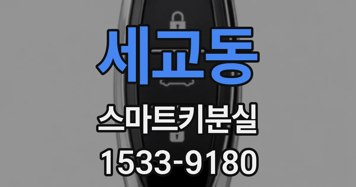 세교동 스마트키분실