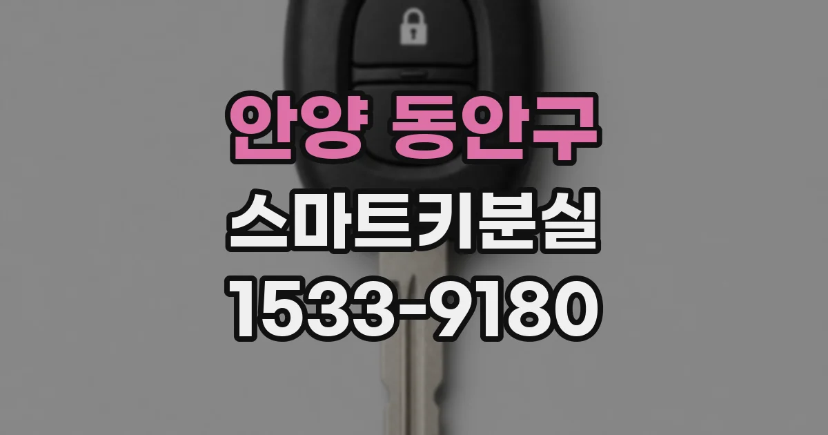 안양 동안구 스마트키분실