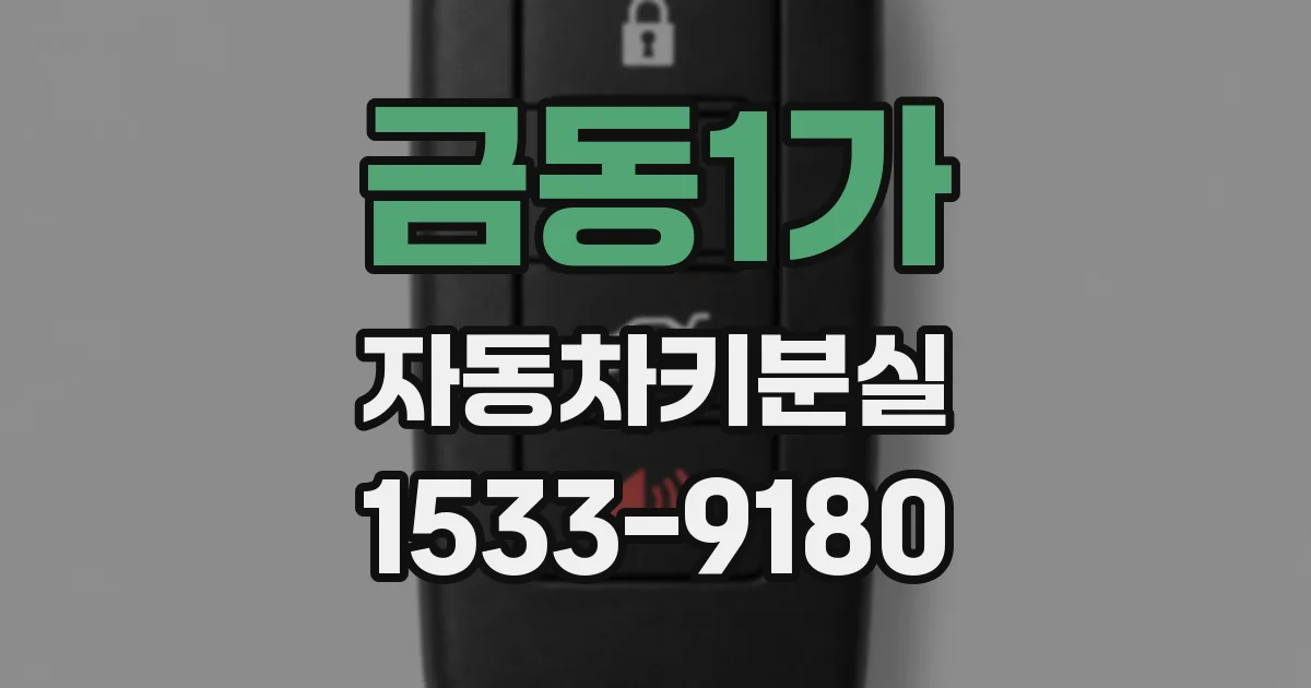 금동1가 자동차키분실