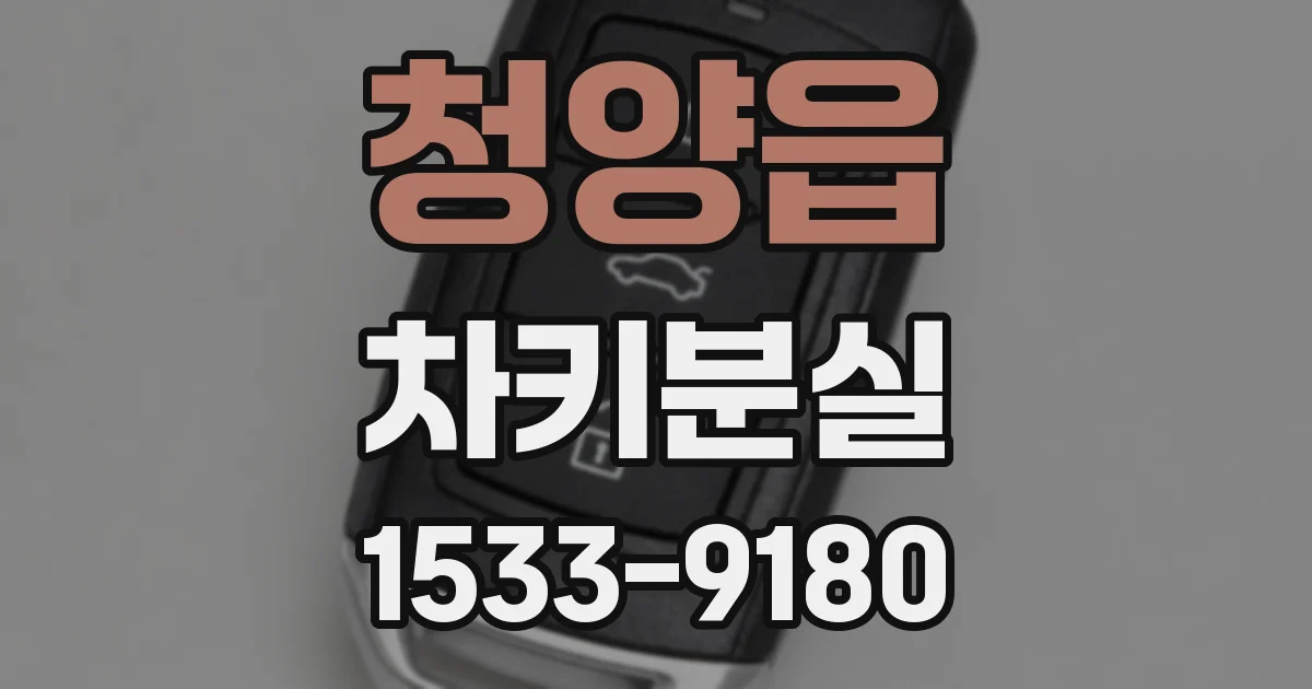 청양읍 차키분실