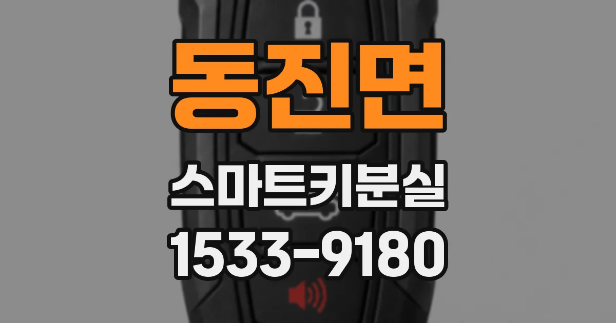 동진면 스마트키분실