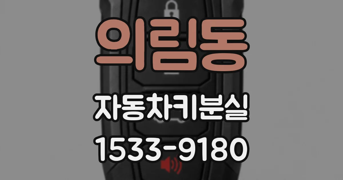 의림동 자동차키분실