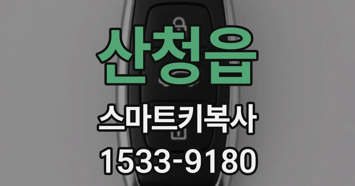 산청읍 스마트키복사