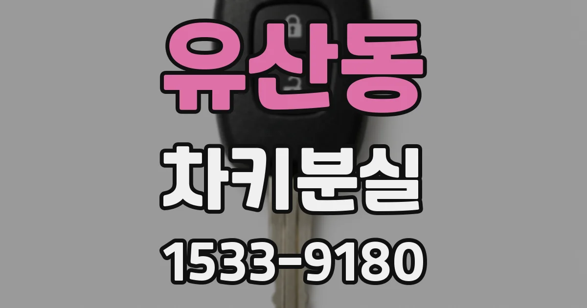 유산동 차키분실