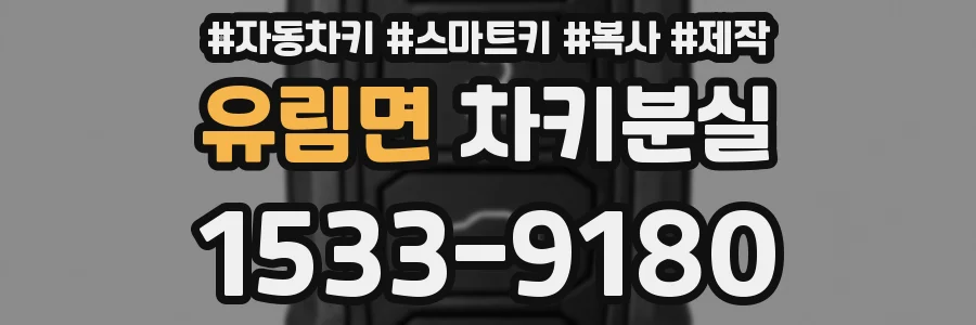 유림면 차키분실