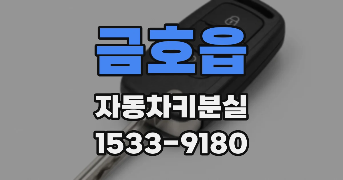 금호읍 자동차키분실