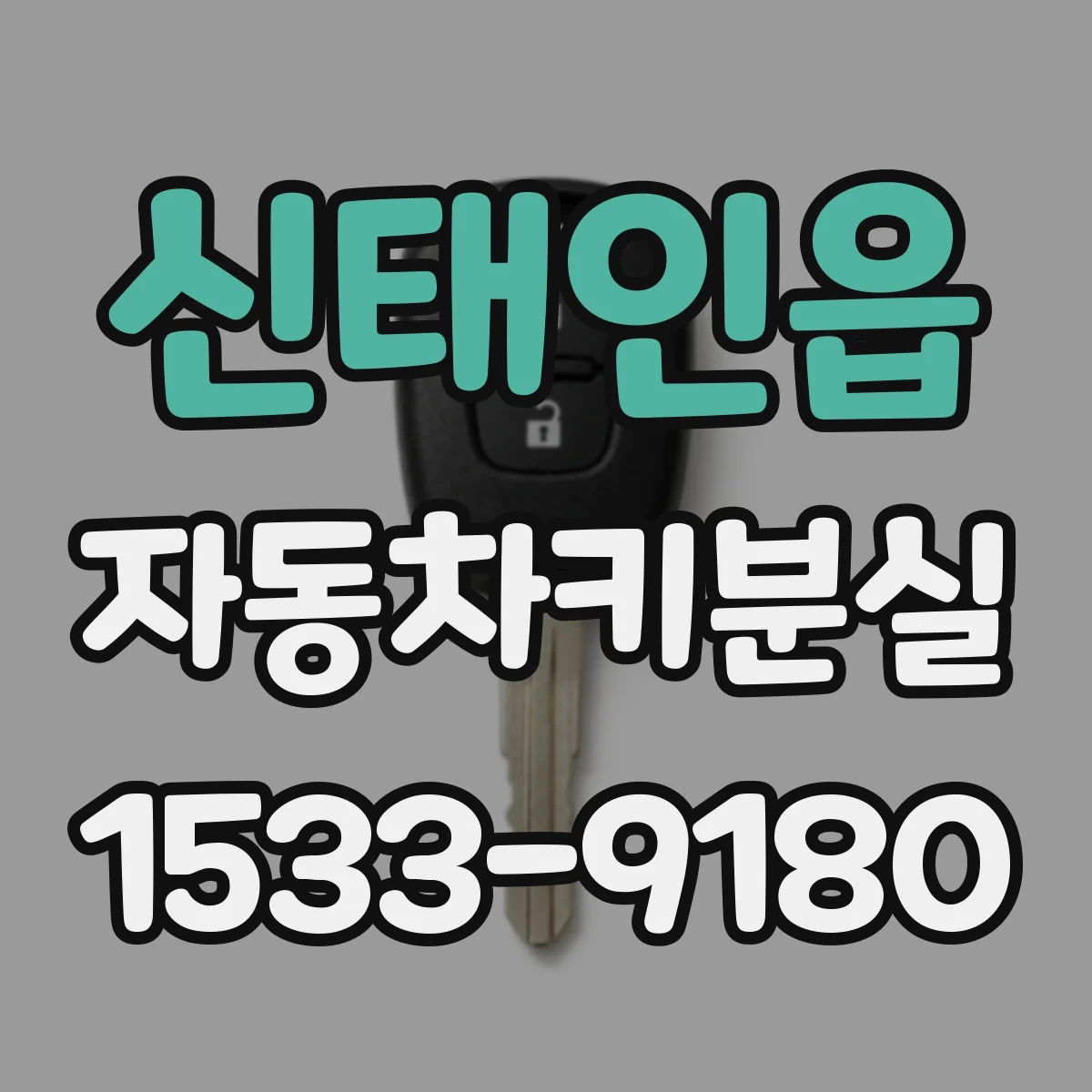신태인읍 자동차키분실