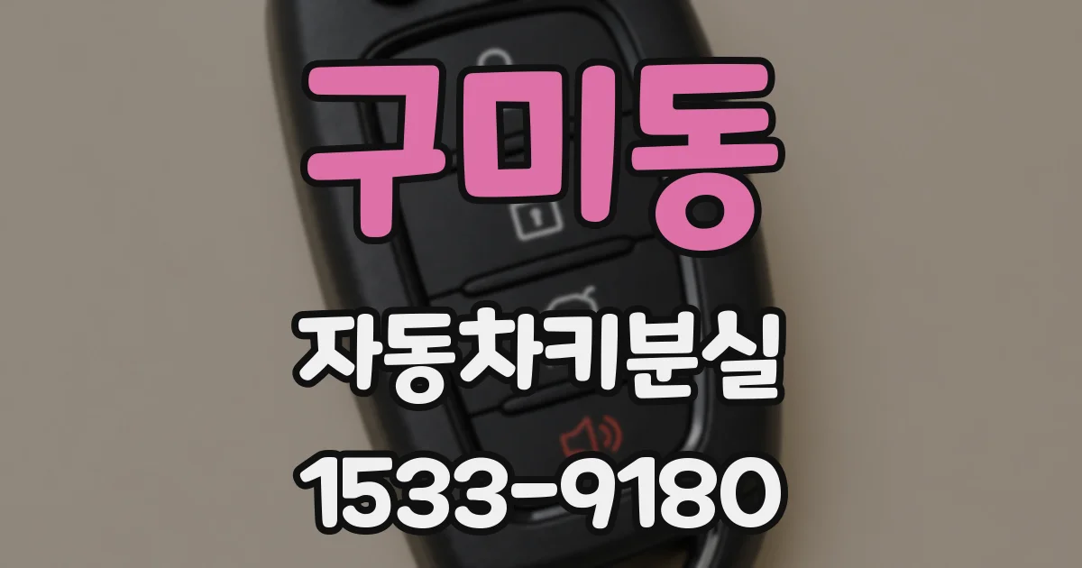 구미동 자동차키분실
