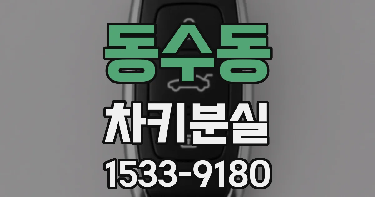 동수동 차키분실