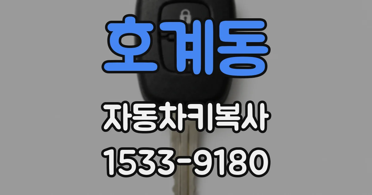 호계동 자동차키복사