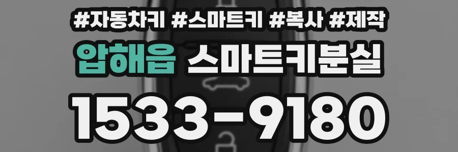 압해읍 스마트키분실
