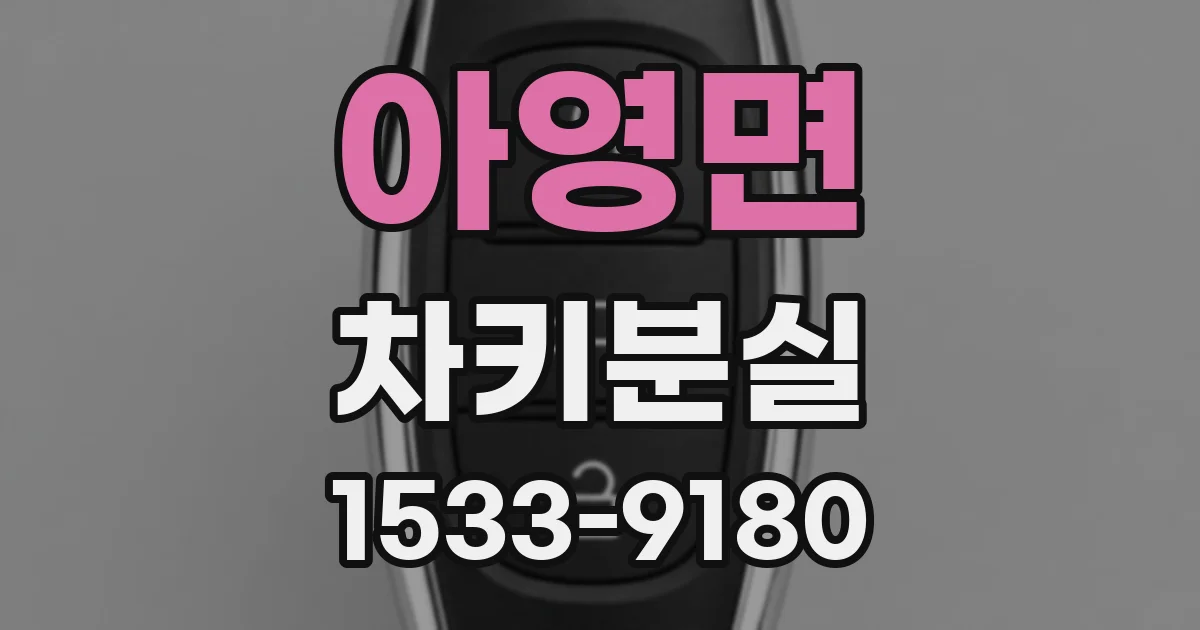 아영면 차키분실