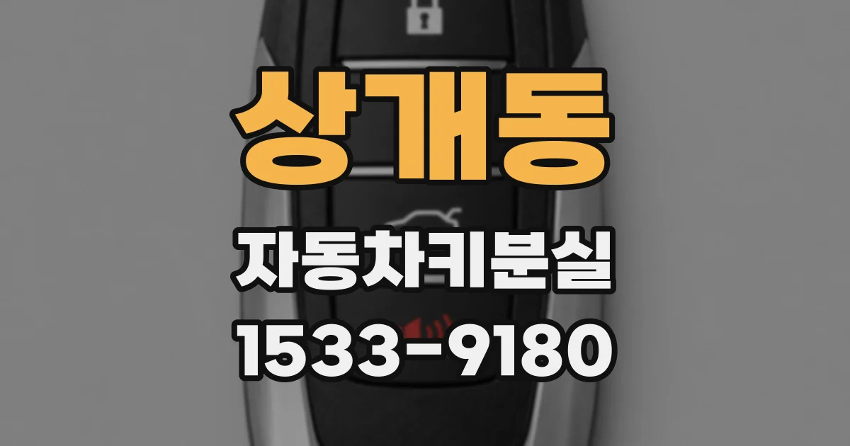 상개동 자동차키분실