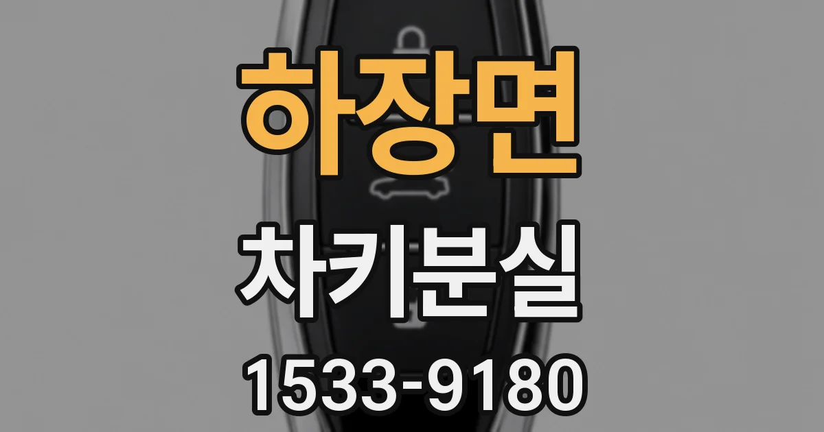 하장면 차키분실