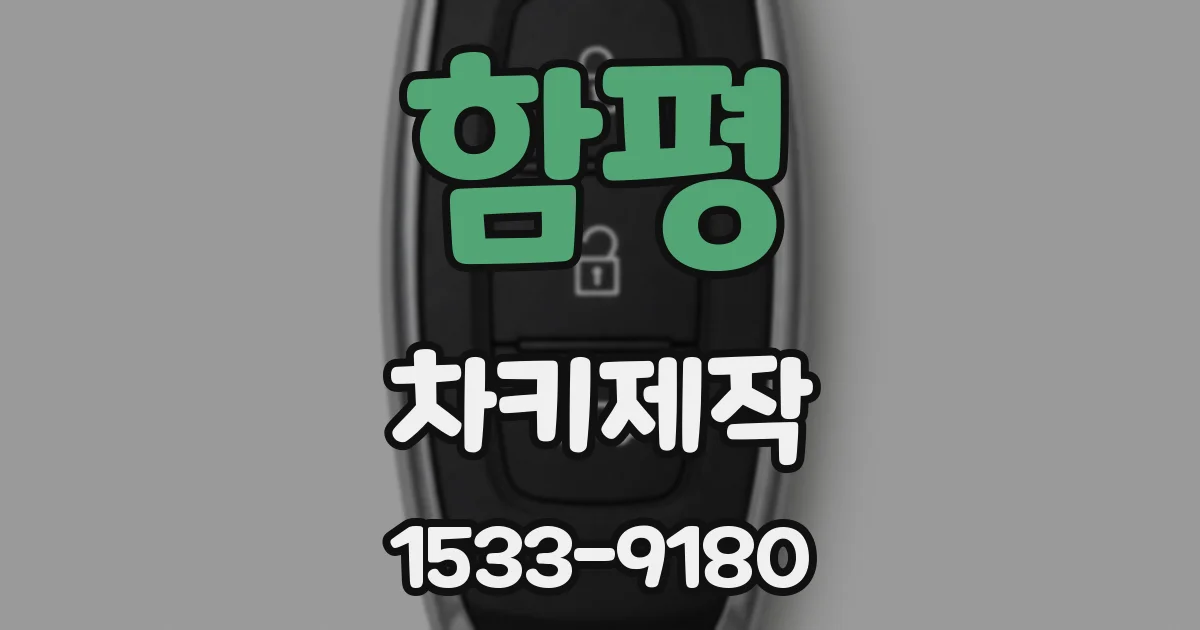 함평 차키제작