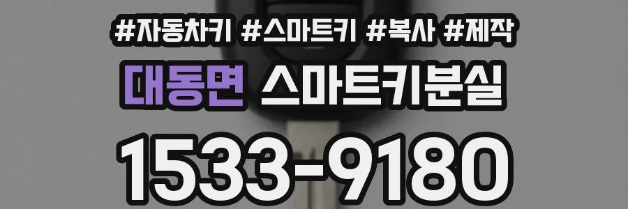 대동면 스마트키분실