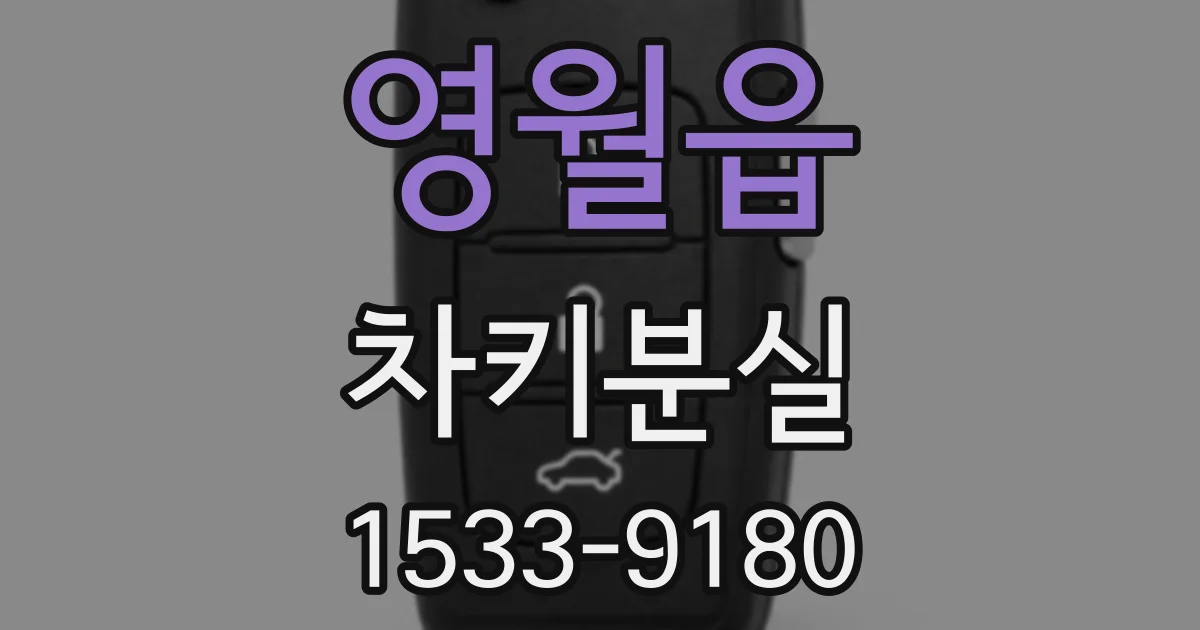 영월읍 차키분실